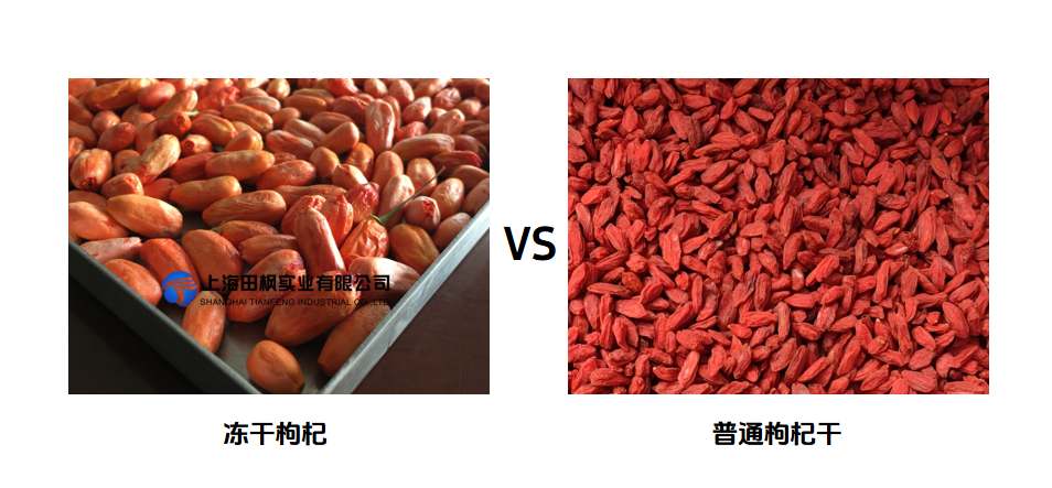 圖片 1.png